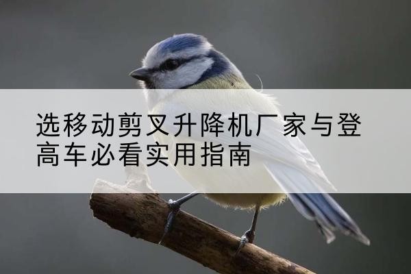 桃源电动升降机厂家-选移动剪叉升降机厂家与登高车必看实用指南
