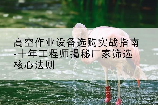 桃源剪叉式升降机厂家-高空作业设备选购实战指南-十年工程师揭秘厂家筛选核心法则