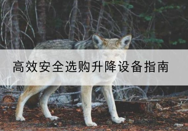 桃源升降货梯厂家推荐-*安全选购升降设备指南