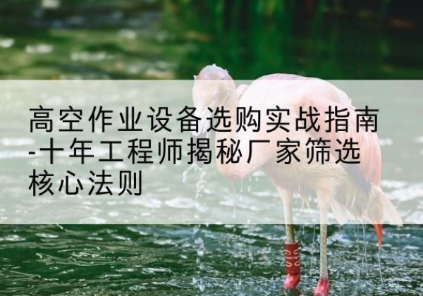 桃源剪叉式升降机厂家-高空作业设备选购实战指南-十年工程师揭秘厂家筛选核心法则